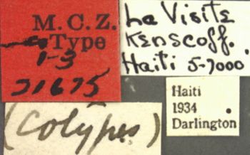 Media type: image; Entomology 21675   Aspect: labels